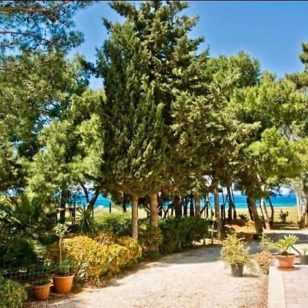 Appartamento I Tramonti Di Cofano Castelluzzo Εξωτερικό φωτογραφία