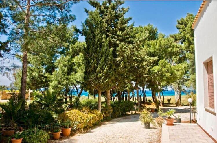 Appartamento I Tramonti Di Cofano Castelluzzo Εξωτερικό φωτογραφία