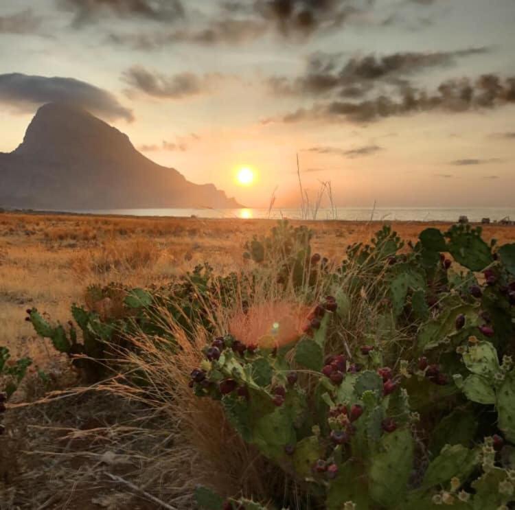 Appartamento I Tramonti Di Cofano Castelluzzo Εξωτερικό φωτογραφία