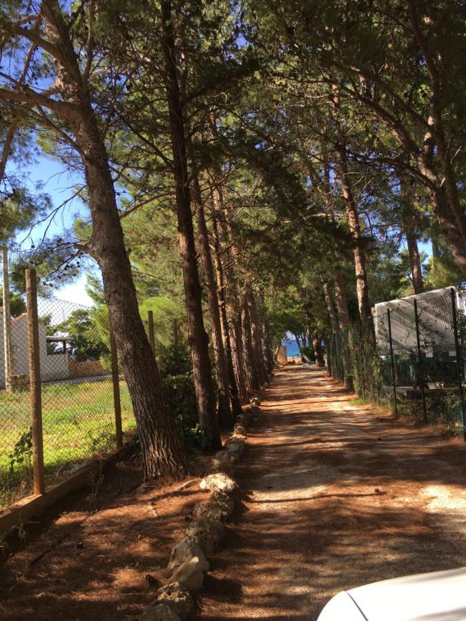 Appartamento I Tramonti Di Cofano Castelluzzo Εξωτερικό φωτογραφία