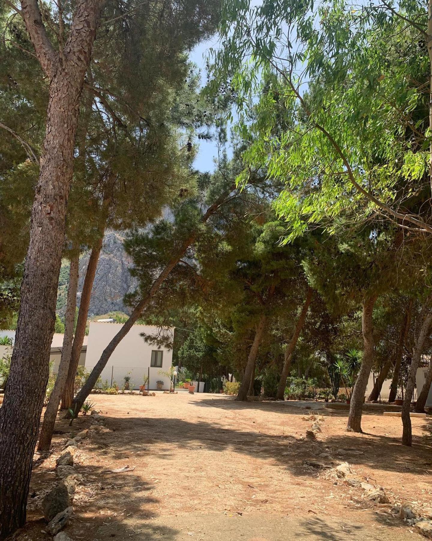 Appartamento I Tramonti Di Cofano Castelluzzo Εξωτερικό φωτογραφία