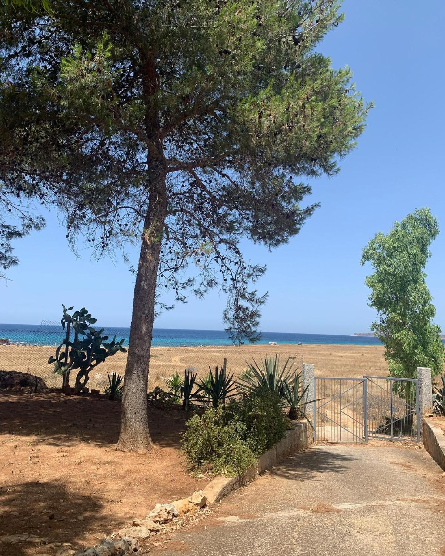 Appartamento I Tramonti Di Cofano Castelluzzo Εξωτερικό φωτογραφία