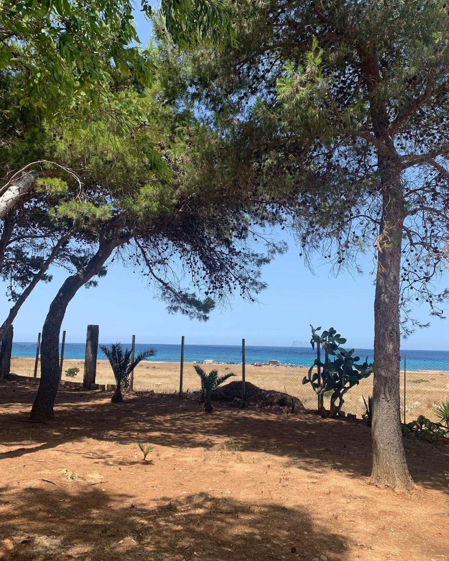 Appartamento I Tramonti Di Cofano Castelluzzo Εξωτερικό φωτογραφία