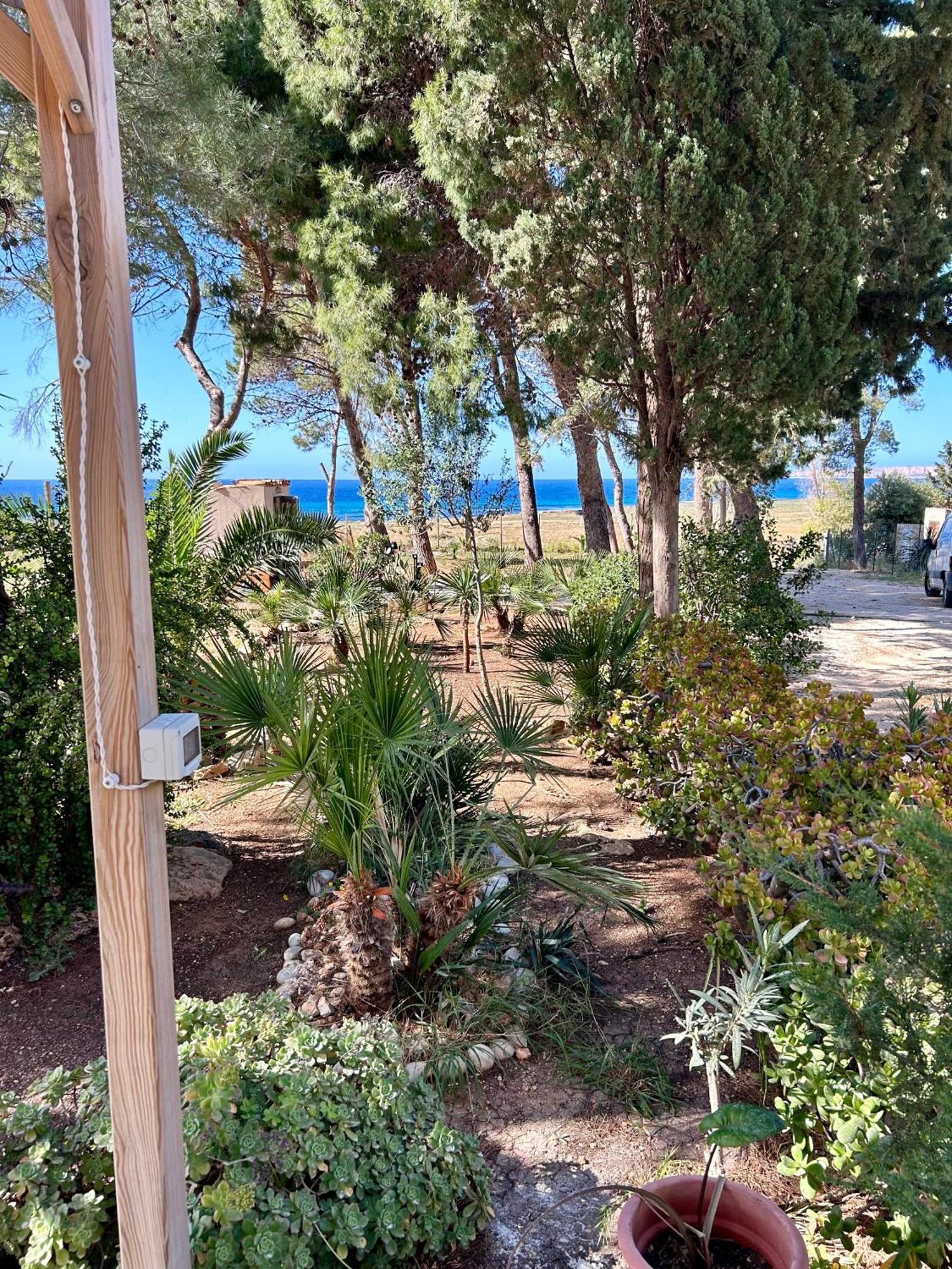 Appartamento I Tramonti Di Cofano Castelluzzo Εξωτερικό φωτογραφία